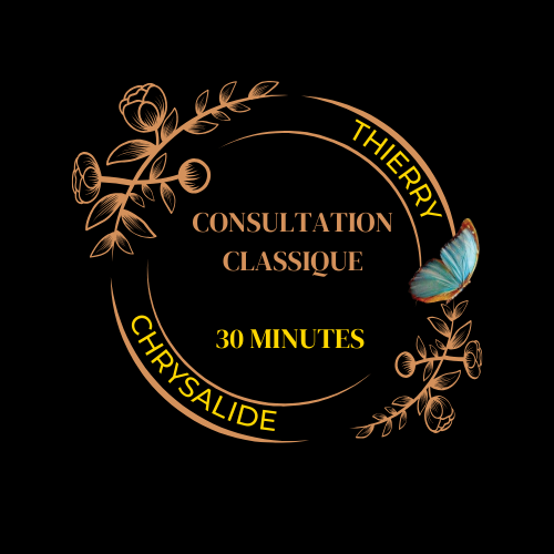Consultation 30 minutes – Voyance & accompagnement énergétique